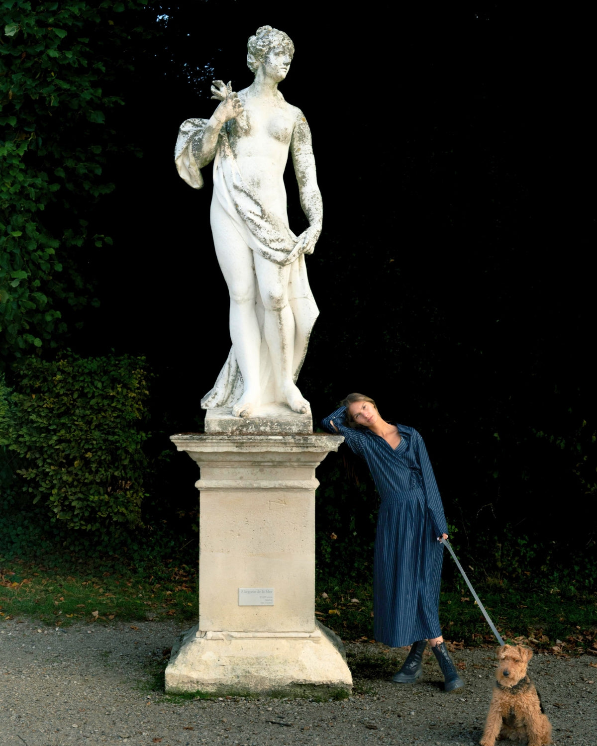Sophistiquée (uniquement vendu ensemble)